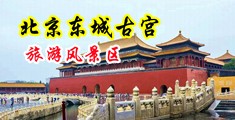不用下载和播放器直接播放的最黄色的大屌操阴道和操肛门的视频片中国北京-东城古宫旅游风景区